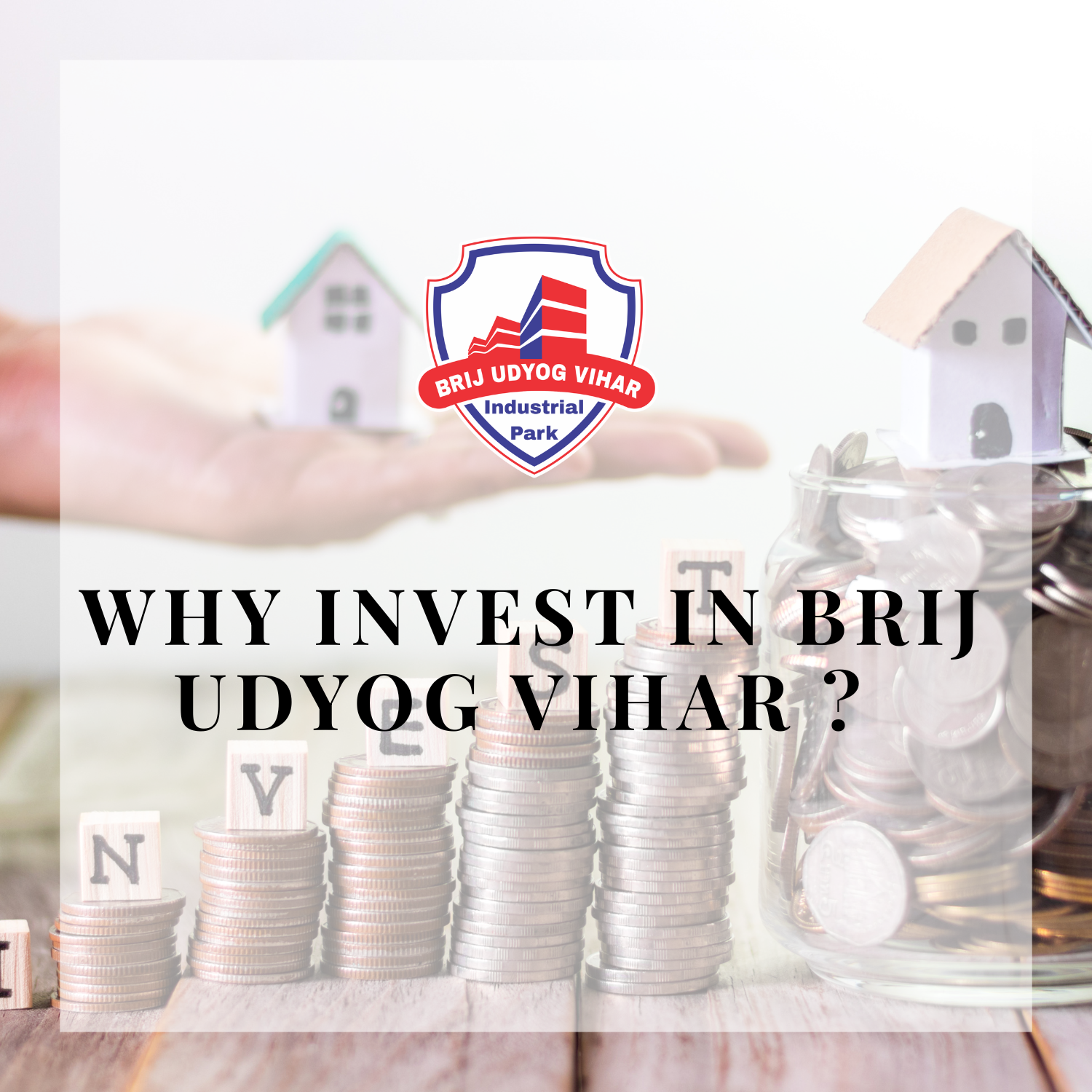 Investment in Brij Udyog Vihar